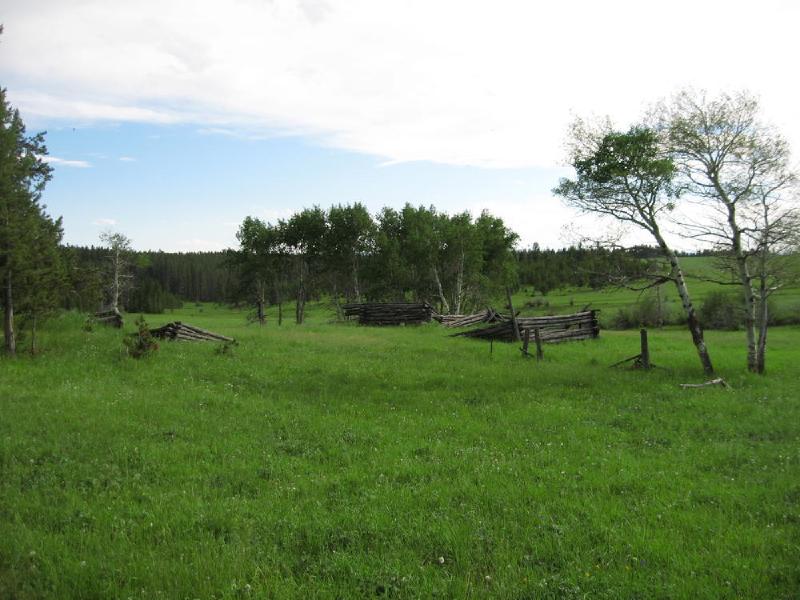 gallery/montana_086.jpg
