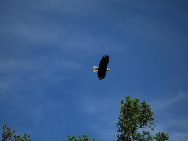 gallery/montana_110.jpg