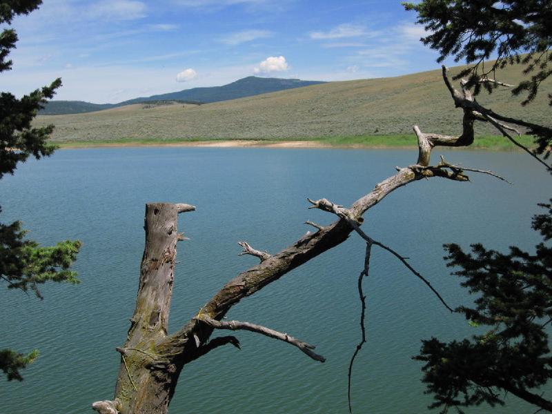 gallery/montana_113.jpg