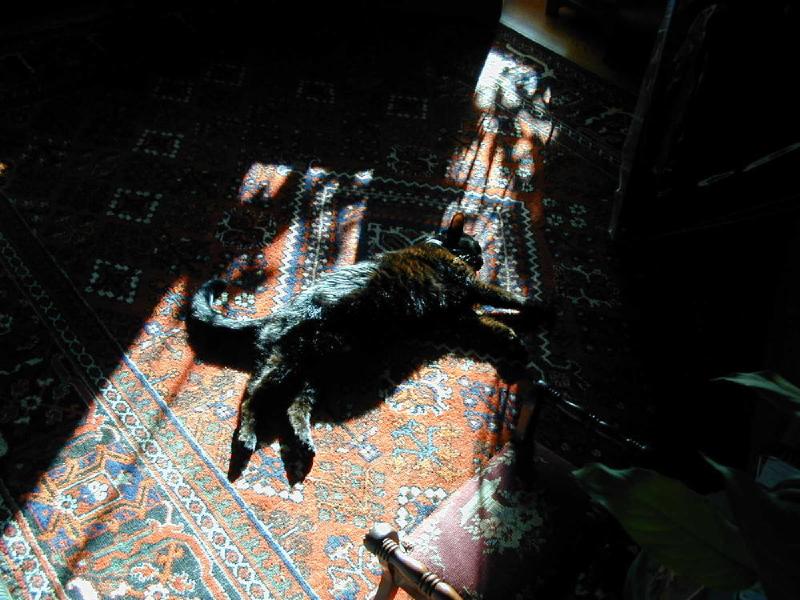 gallery/goobs_04.jpg