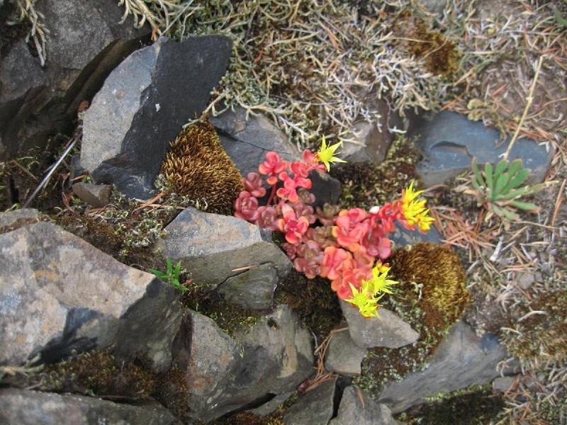 gallery/mt_hamilton_09.jpg