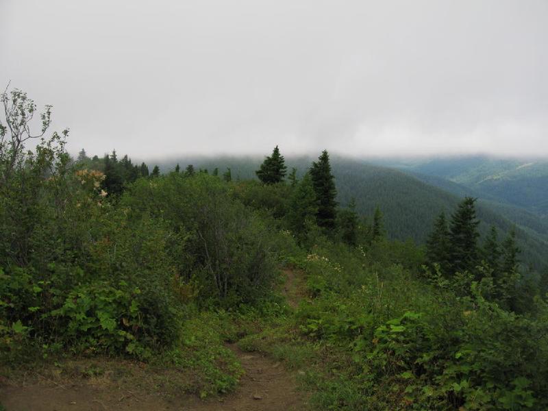 gallery/mt_hamilton_12.jpg