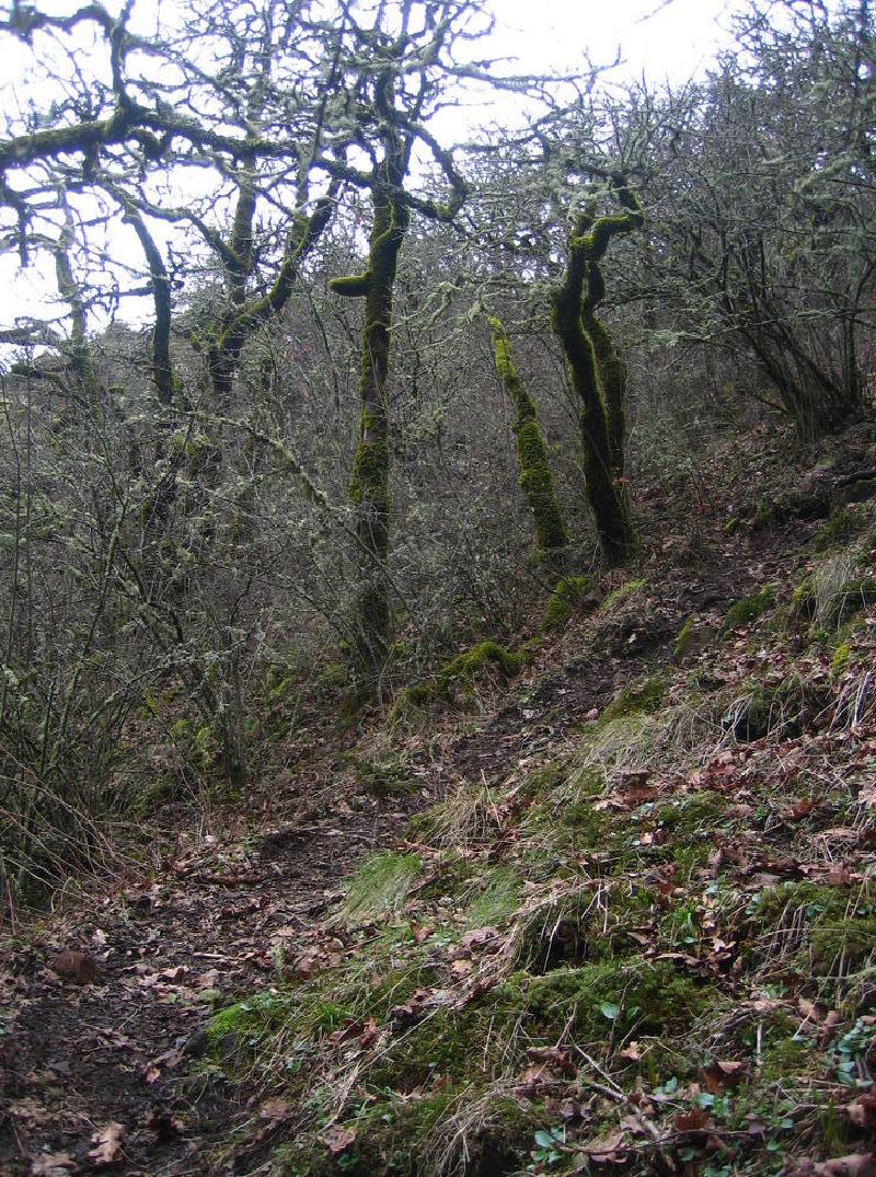 gallery/munra_point_02.jpg