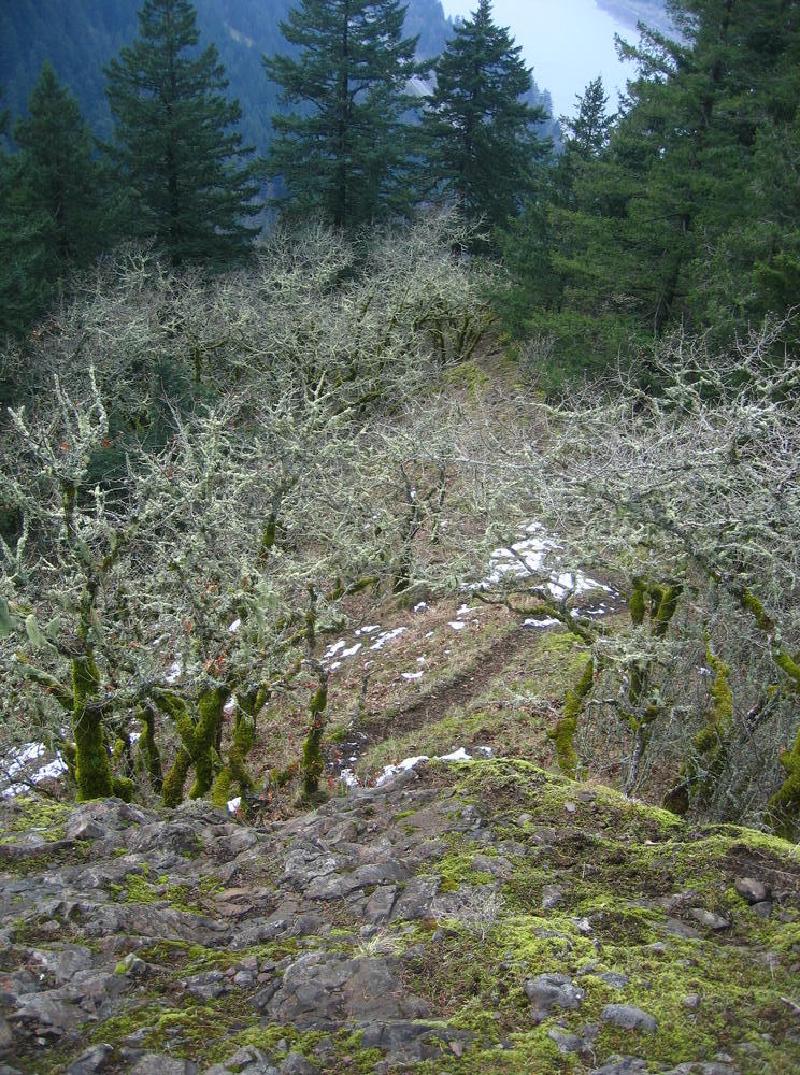 gallery/munra_point_10.jpg