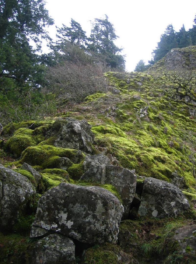 gallery/munra_point_11.jpg
