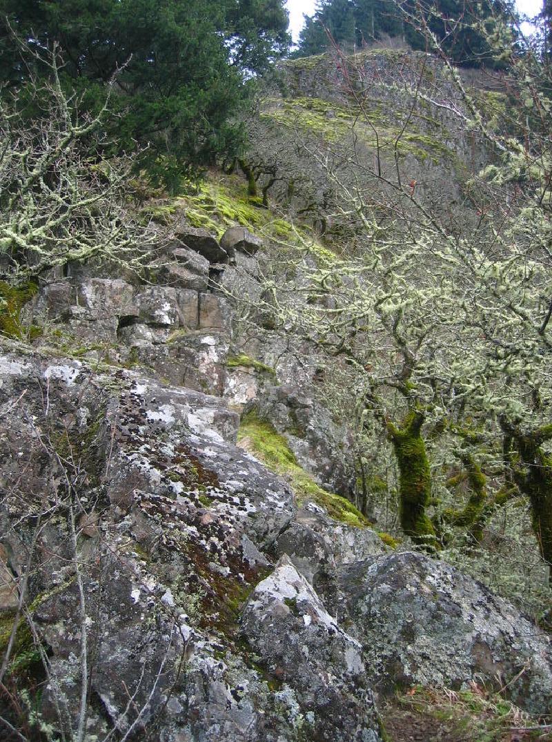 gallery/munra_point_12.jpg