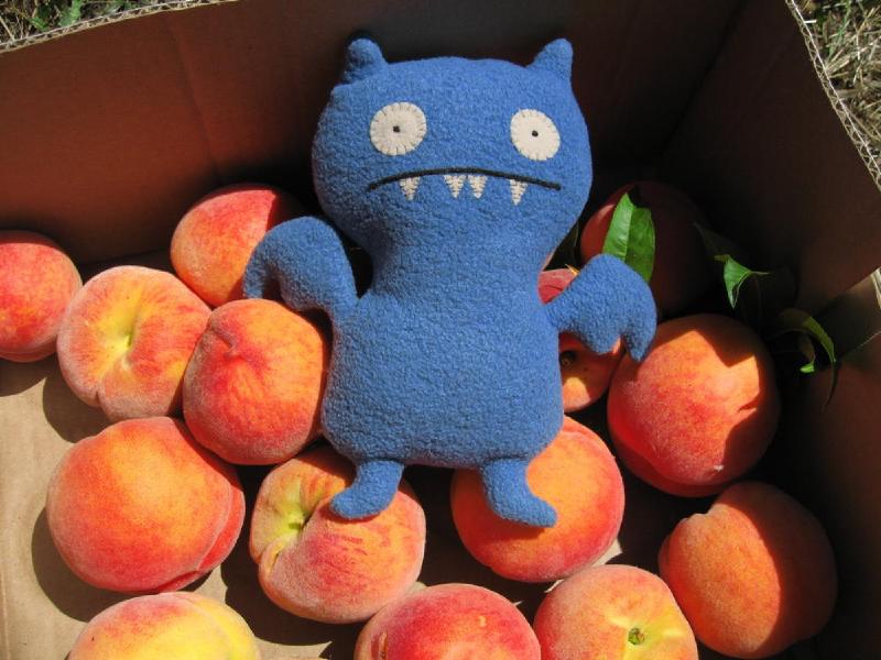 gallery/peaches_01.jpg