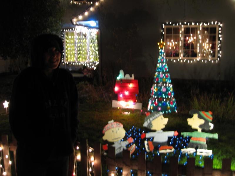 gallery/peacock_lane_01.jpg