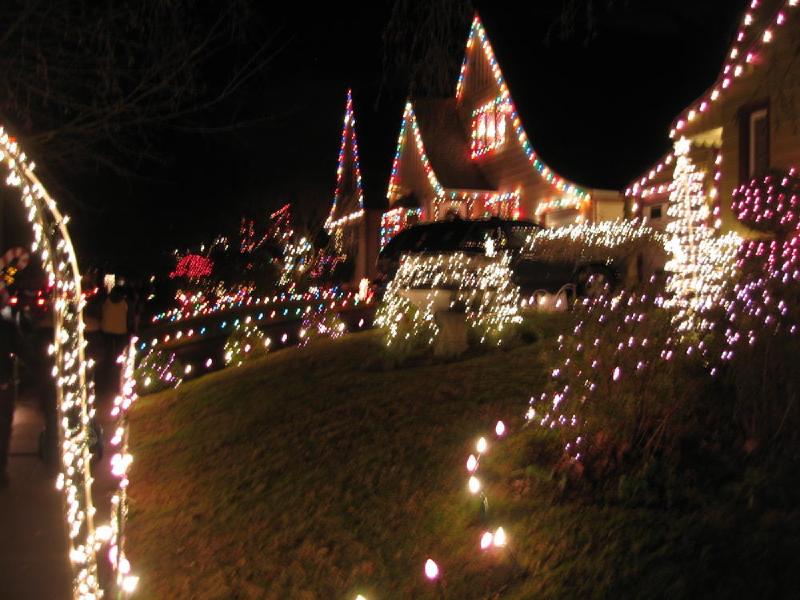 gallery/peacock_lane_02.jpg
