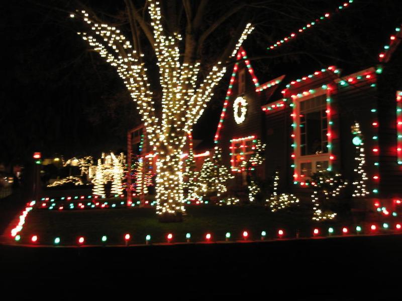 gallery/peacock_lane_03.jpg