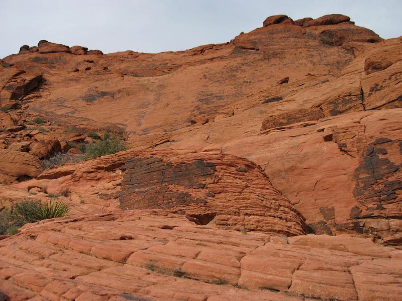 gallery/redRocks_53.jpg