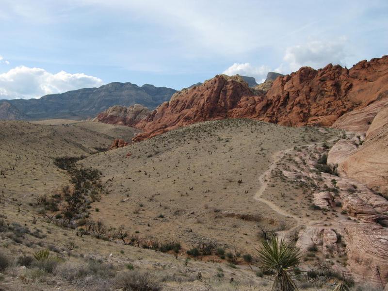 gallery/redRocks_66.jpg