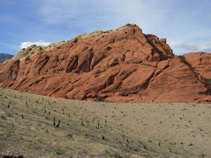 gallery/redRocks_69.jpg