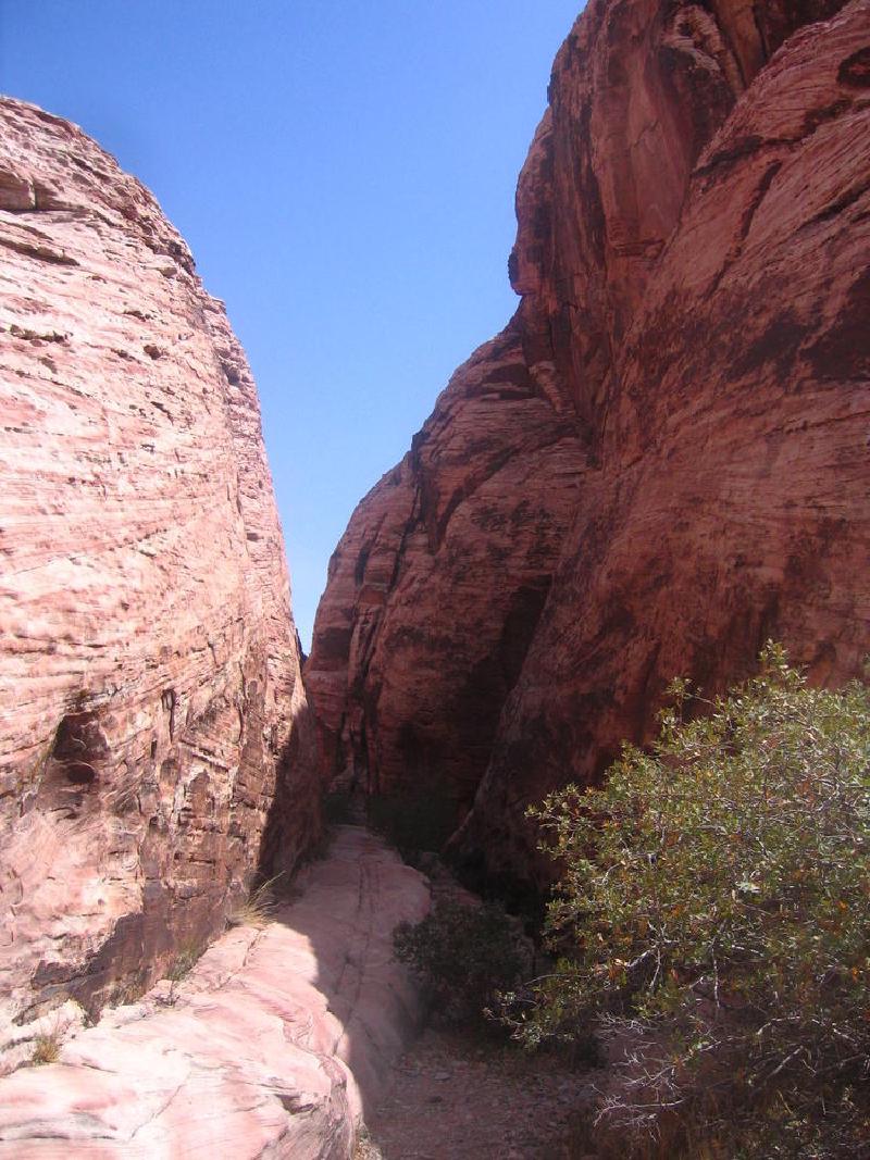 gallery/redRocks_94.jpg