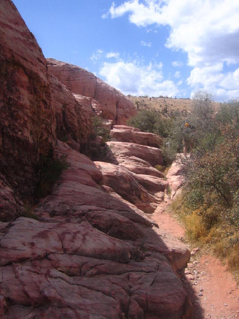 gallery/redRocks_95.jpg