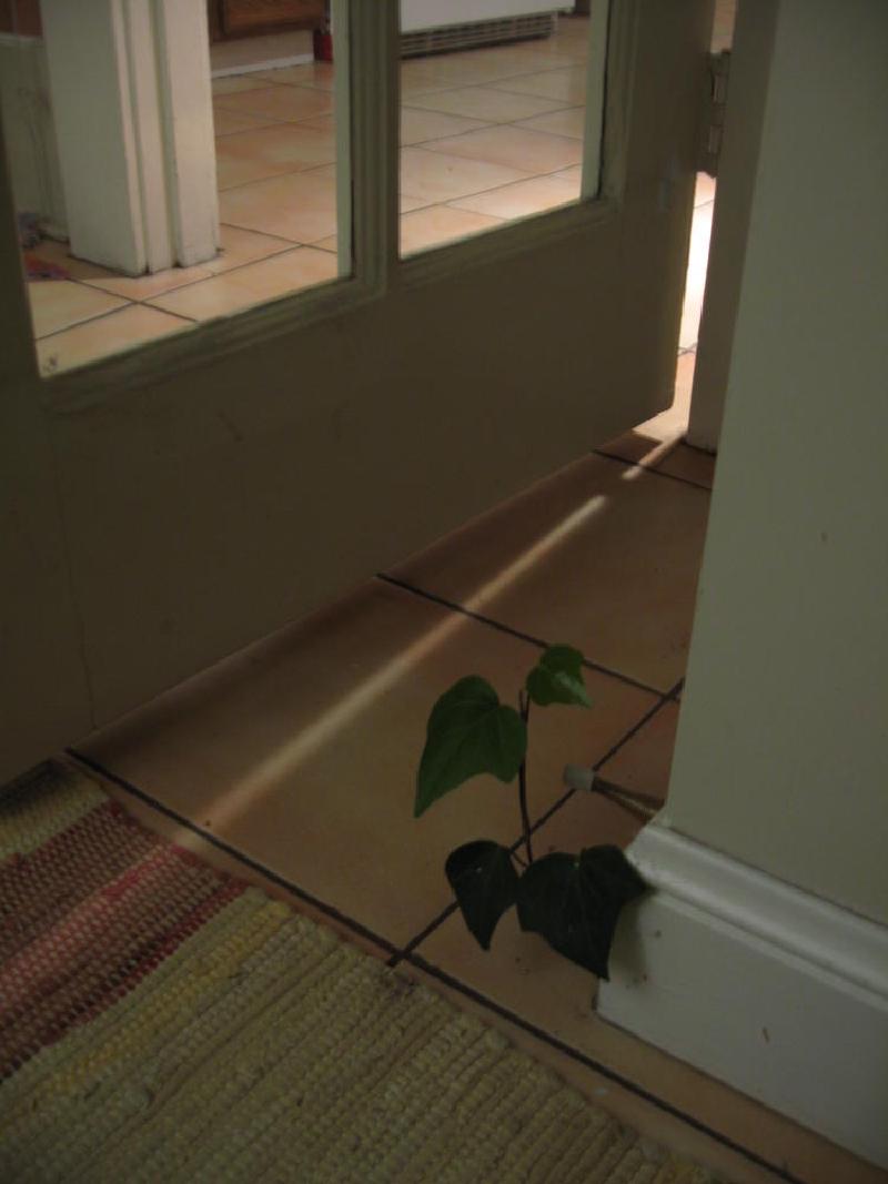gallery/sf_08.jpg