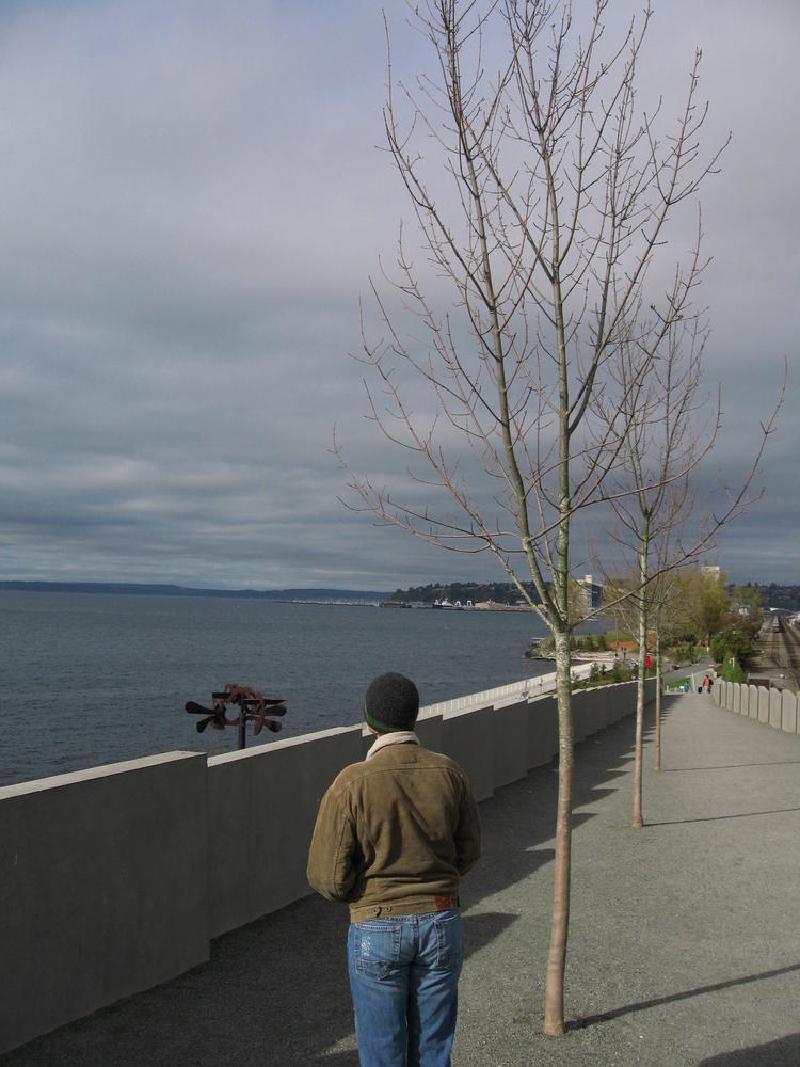 gallery/seattle_08.jpg