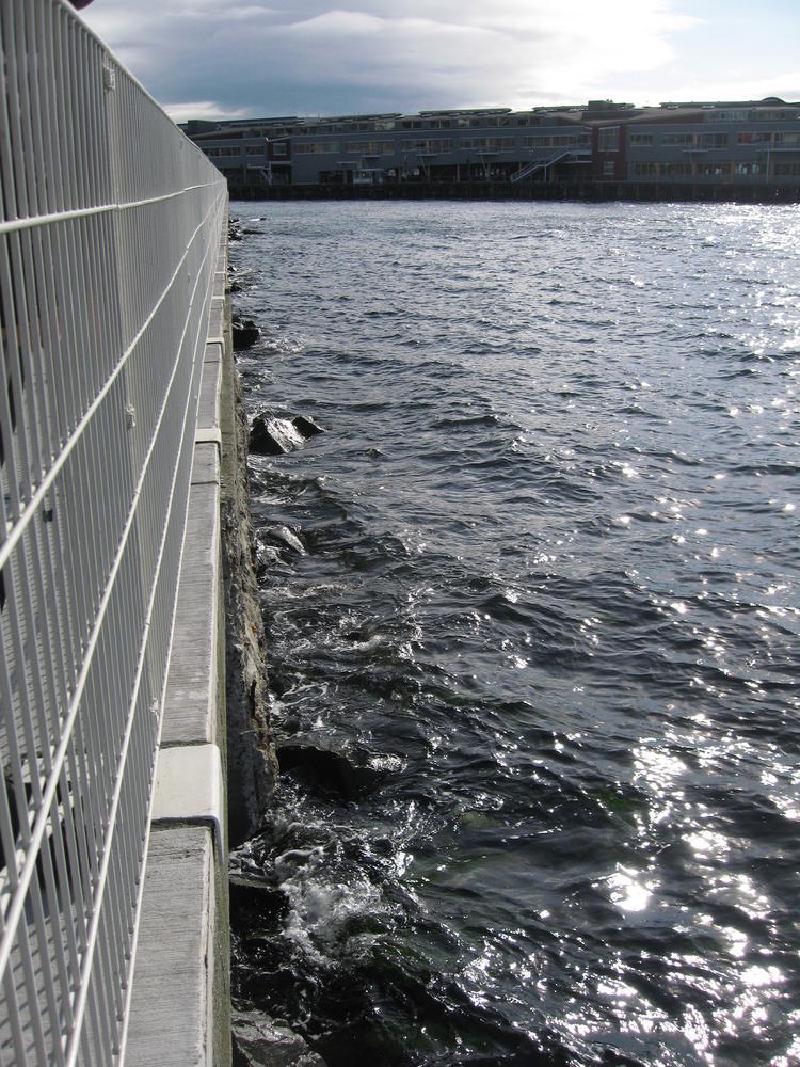 gallery/seattle_10.jpg