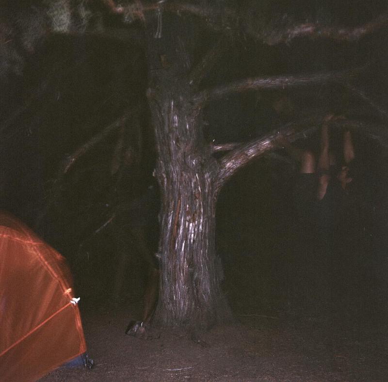 gallery/smith_night_11.jpg