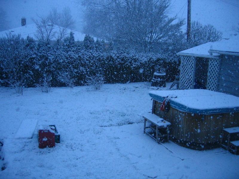 gallery/snow_01.jpg