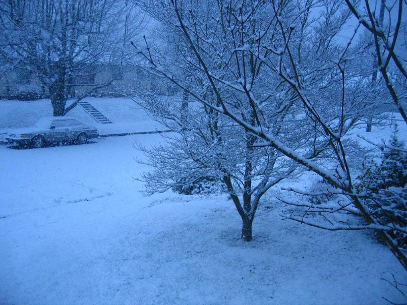 gallery/snow_03.jpg