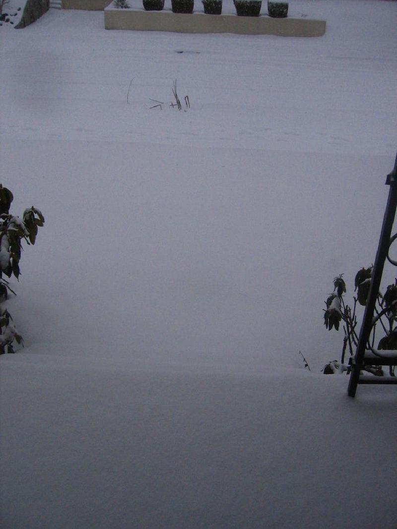 gallery/snow_07.jpg