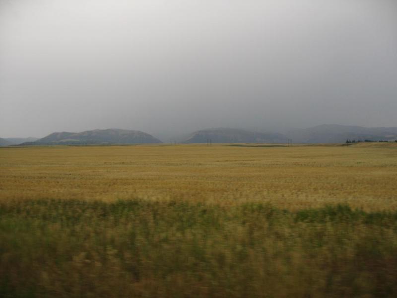 gallery/drvie_01.jpg