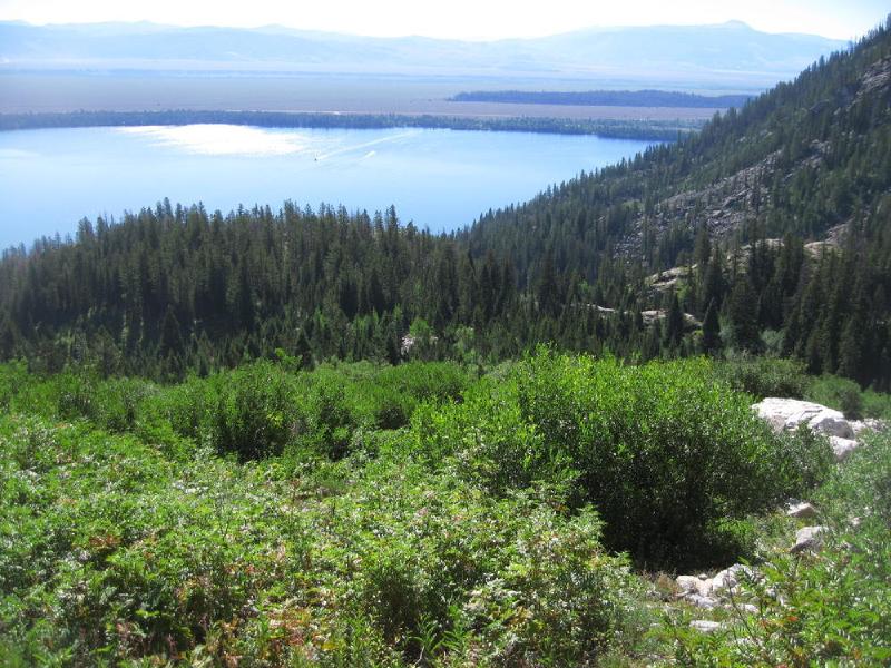 gallery/tetons_023.jpg