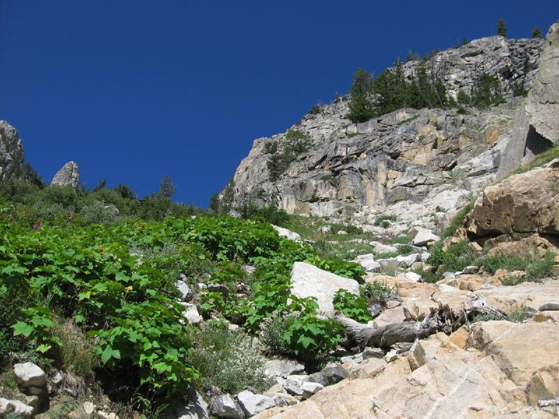 gallery/tetons_028.jpg