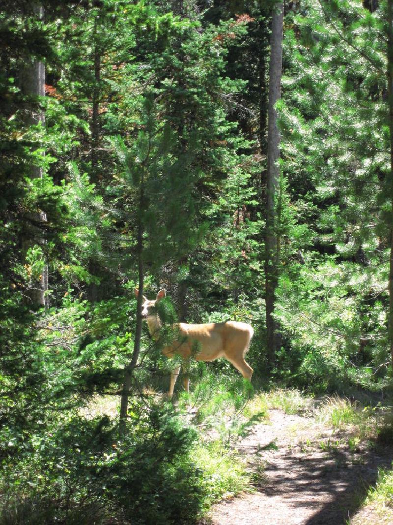 gallery/tetons_057.jpg