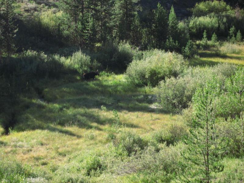 gallery/tetons_063.jpg