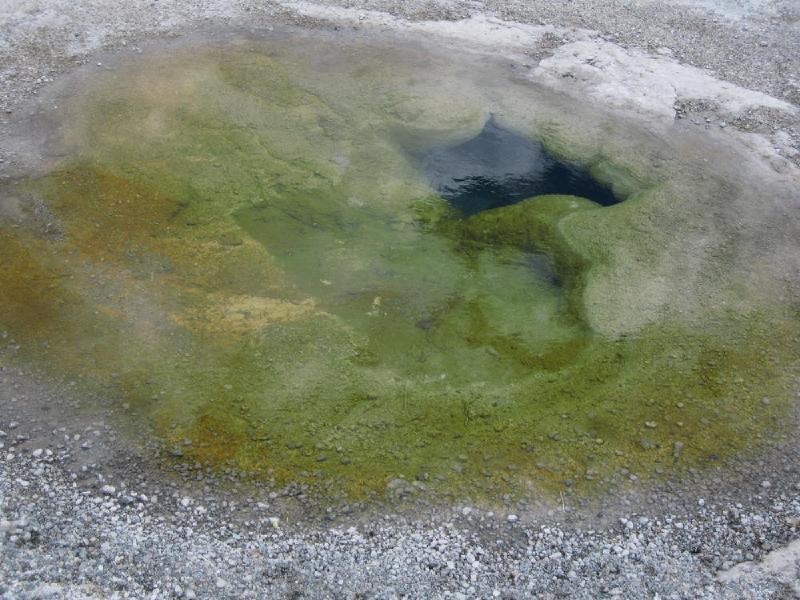 gallery/yellowstone_07.jpg