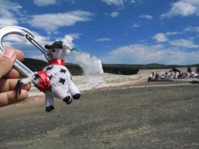gallery/yellowstone_39.jpg