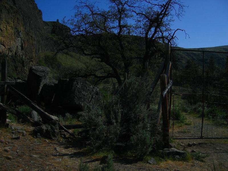 gallery/tietons_167.jpg