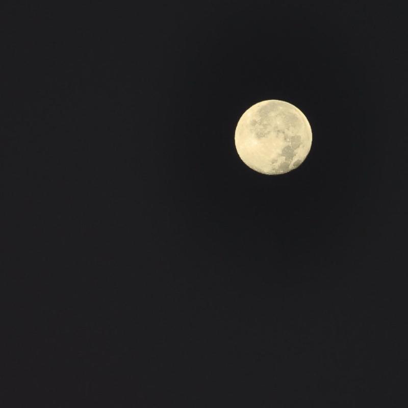 gallery/arizona_103.jpg