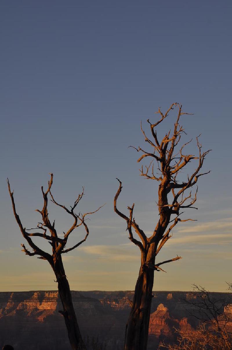 gallery/arizona_161.jpg