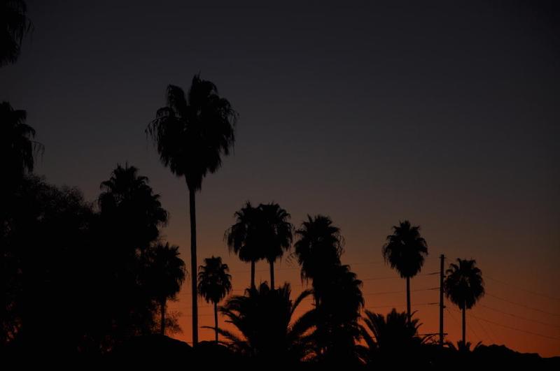 gallery/arizona_326.jpg