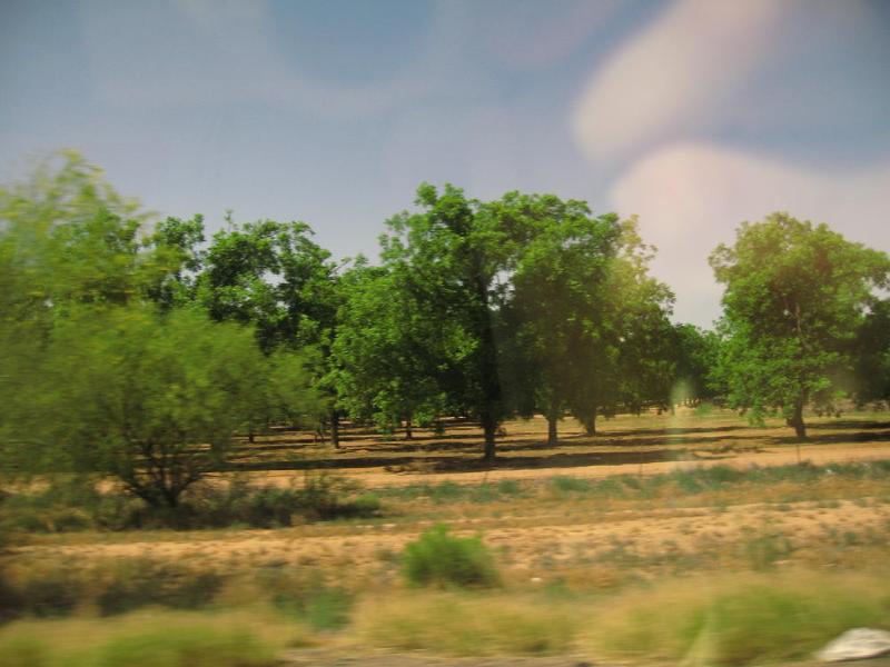 gallery/arizona_003.jpg