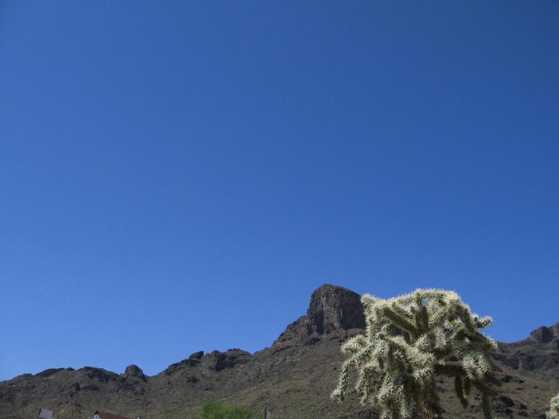 gallery/arizona_004.jpg