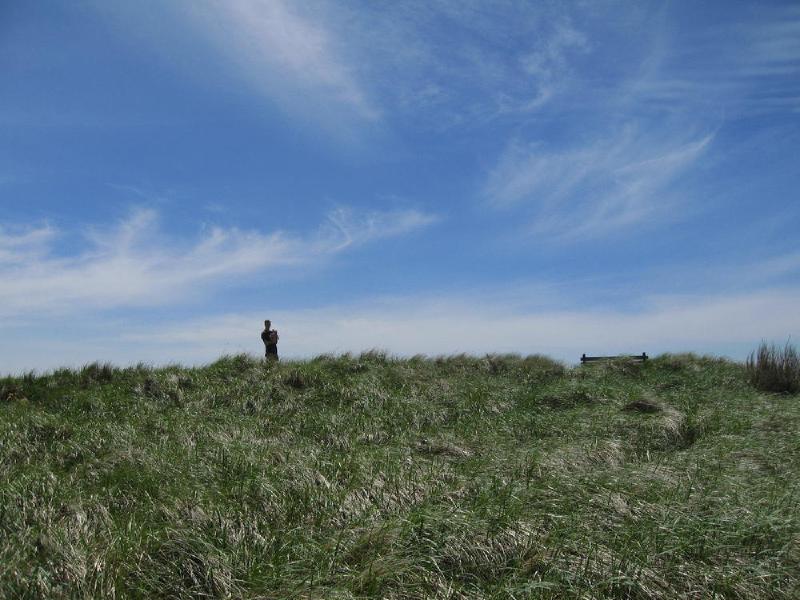 gallery/beach_24.jpg