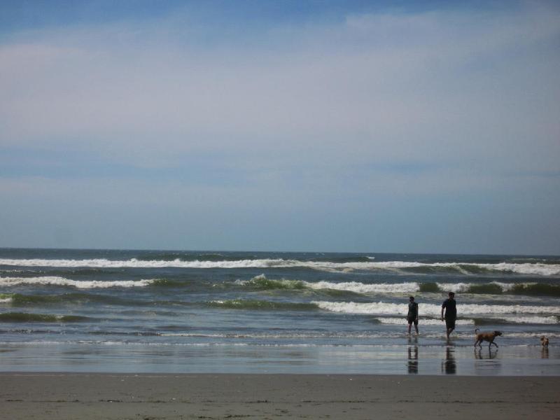 gallery/beach_39.jpg