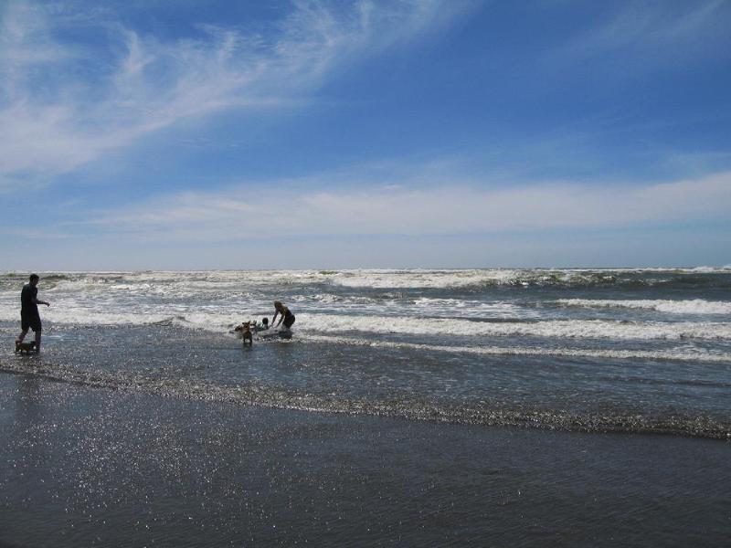 gallery/beach_42.jpg