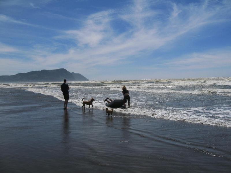 gallery/beach_44.jpg