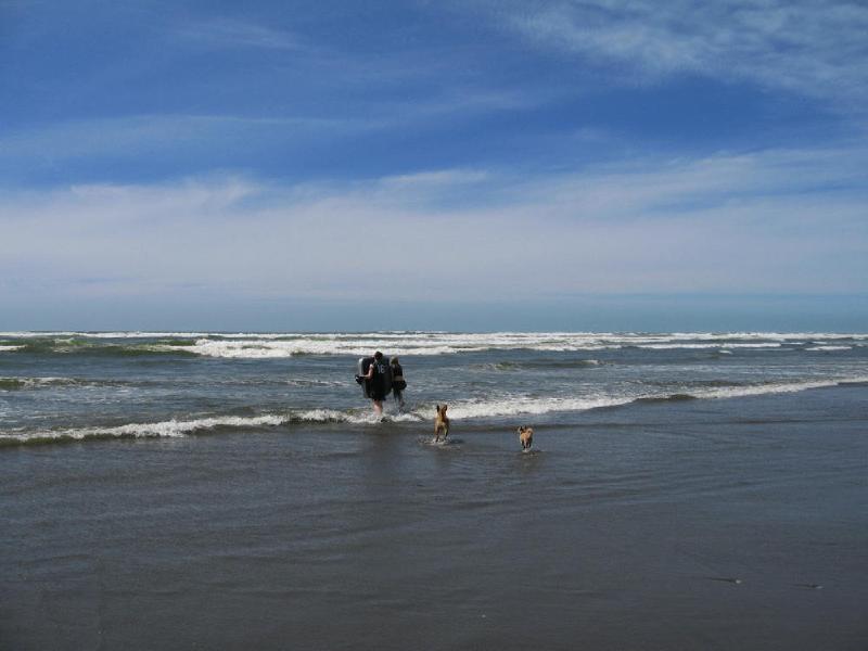 gallery/beach_47.jpg