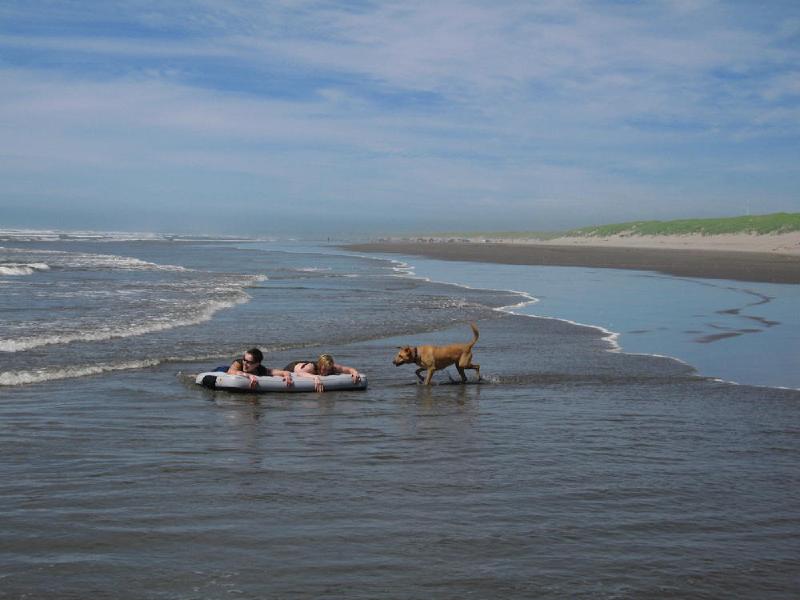 gallery/beach_56.jpg