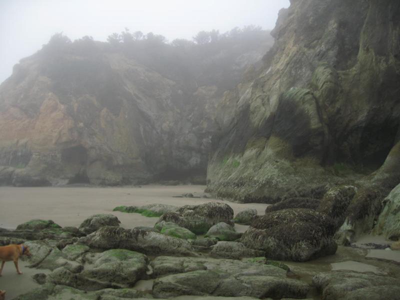 gallery/hug_point_07.jpg