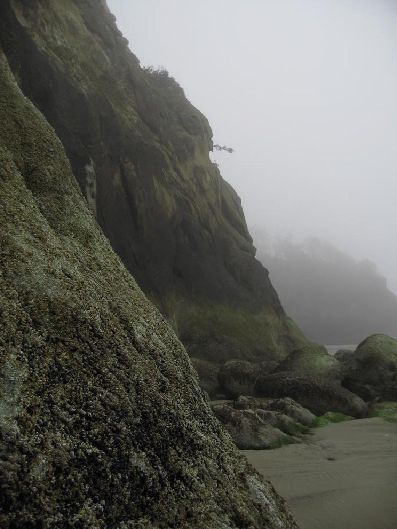 gallery/hug_point_10.jpg