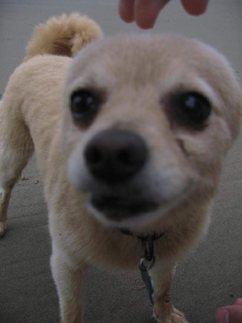 gallery/hug_point_52.jpg