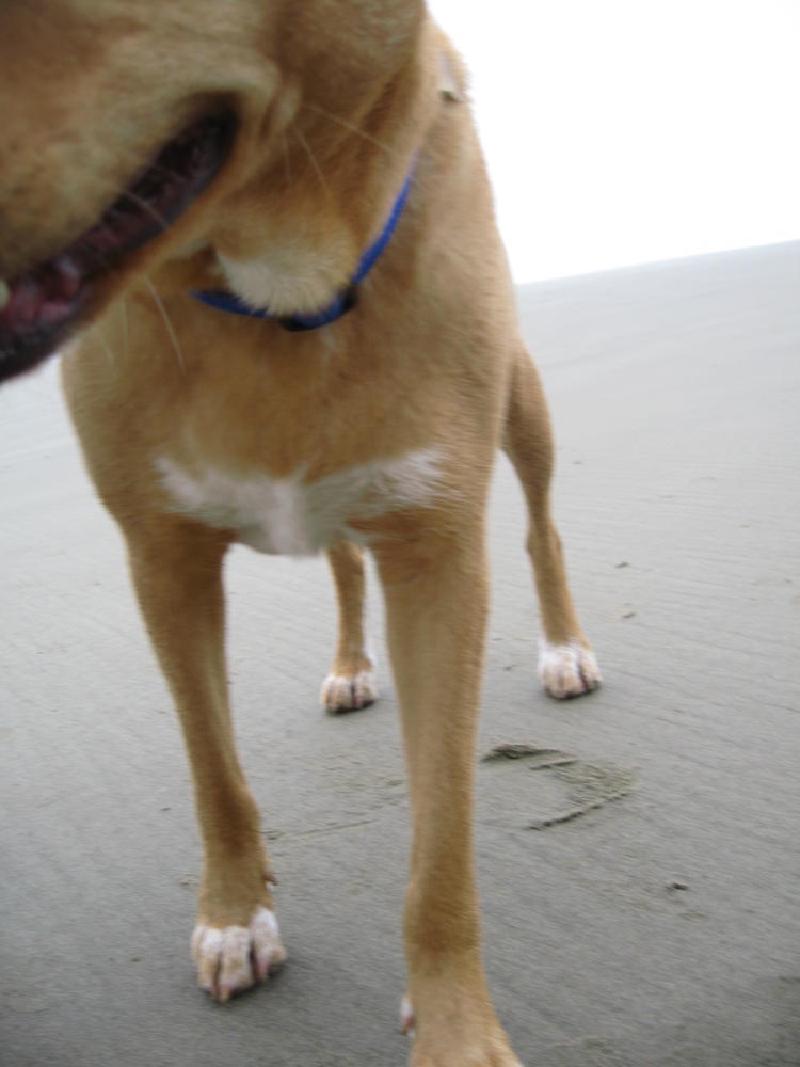 gallery/hug_point_53.jpg