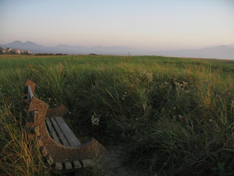 gallery/beachSept_031.jpg
